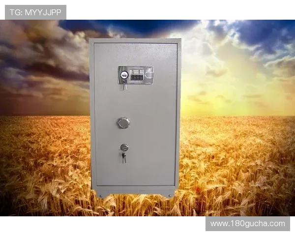 凯发K8现金开户安全验证流程介绍保障账户安全稳定运行