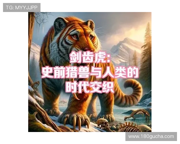 龙跟虎的战斗技巧与实战经验分享,帮助玩家提升操作水平和战术理解 龙跟虎的战斗技巧与实战经验分享,帮助玩家提升操作水平和战术理解